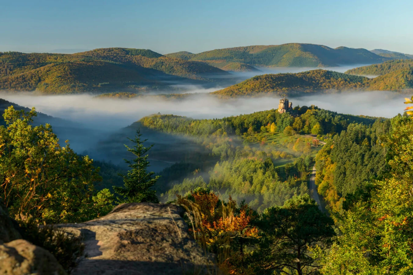 Parc naturel régional des Vosges du Nord, France