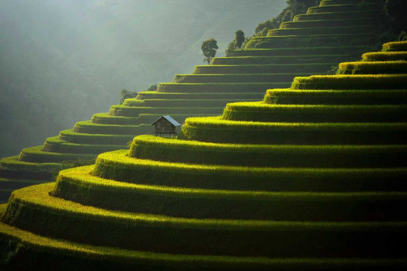 Mu Cang Chai, Vietnam