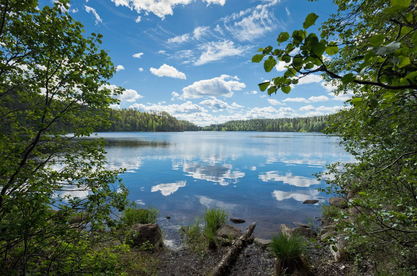 Savilampi, Finlande