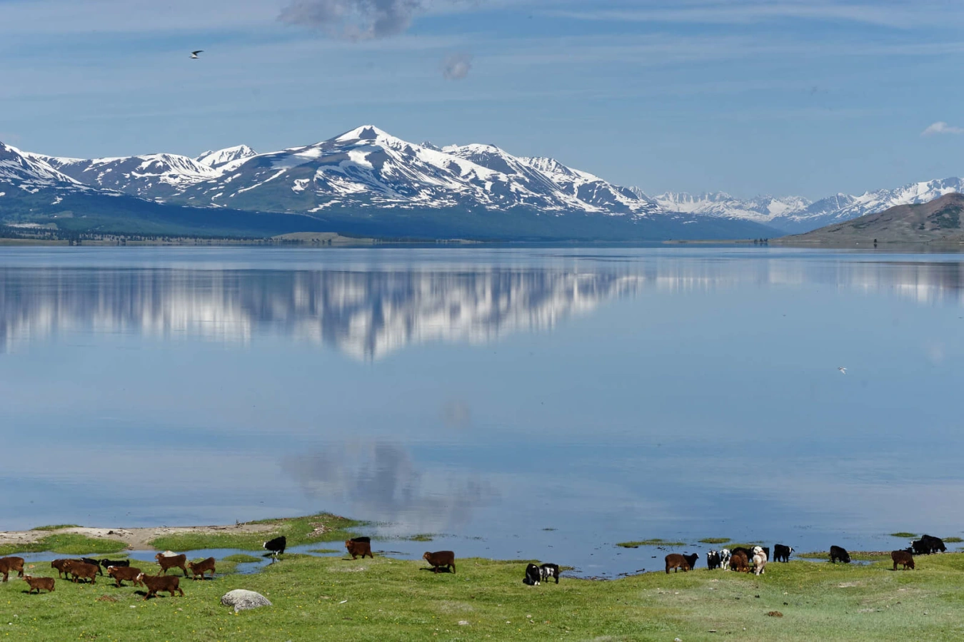 Lac Khoton, Mongolie