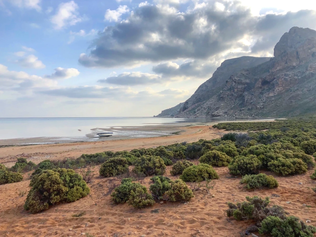 Detwah Campsite, Yémen, Socotra