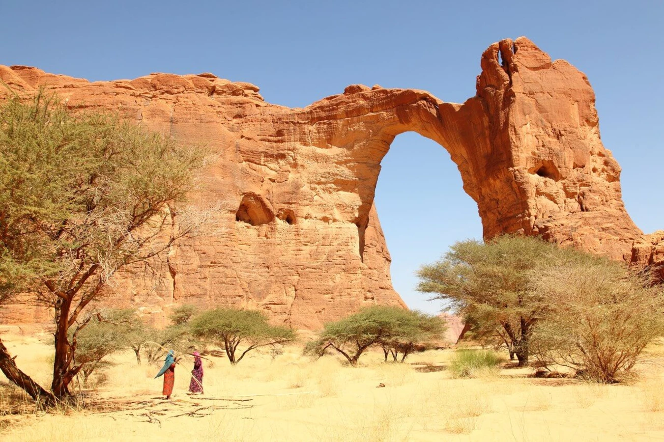 Arche d'Aloba, Tchad