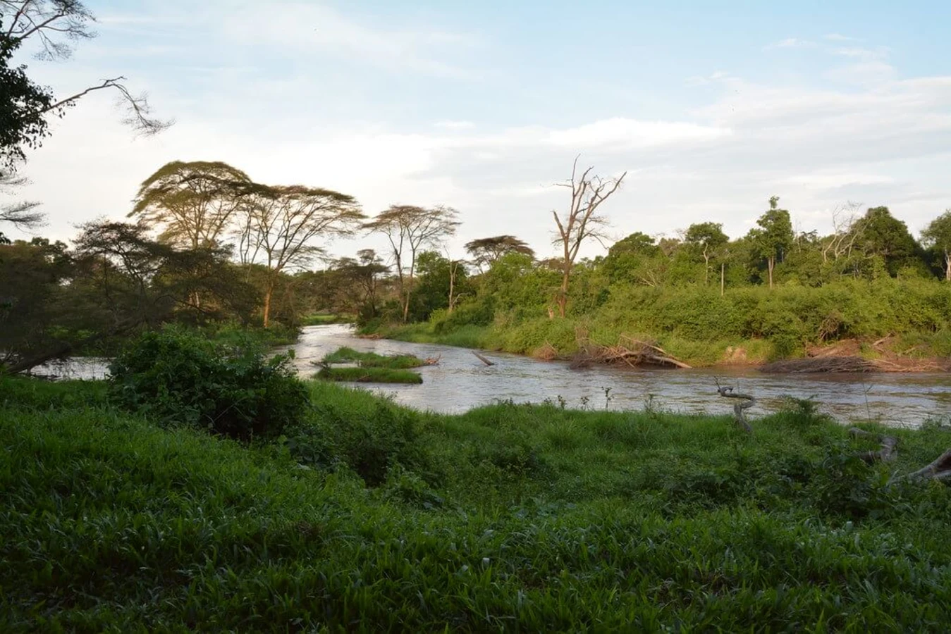 Ishasha River, Ouganda