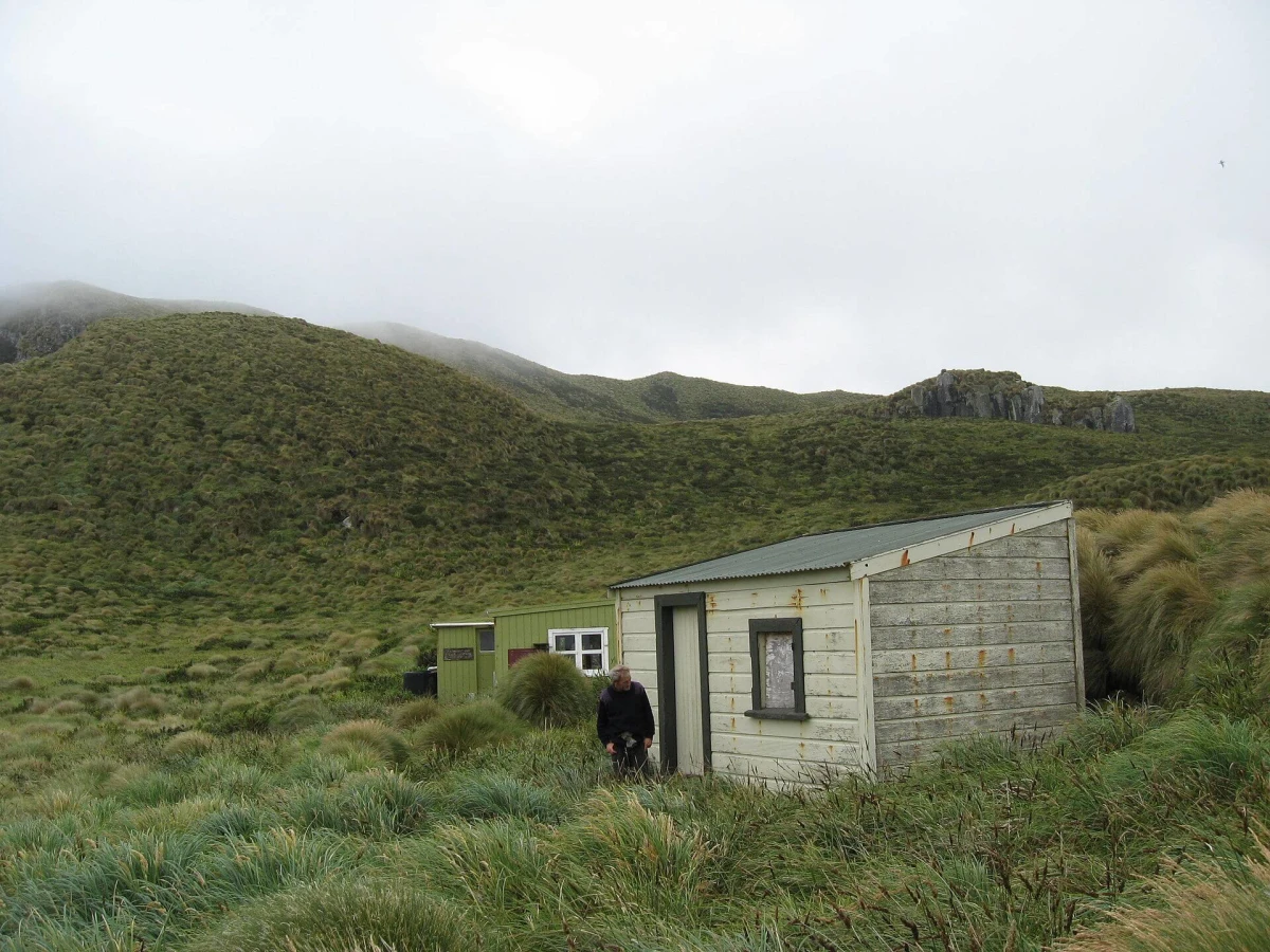 Îles des Antipodes, Nouvelle-Zélande