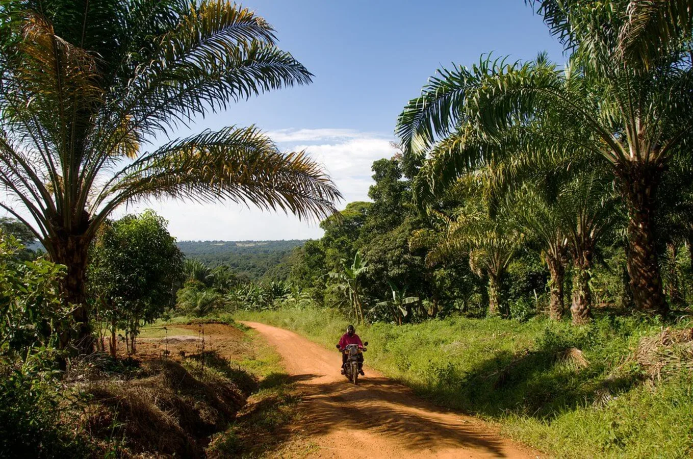 Îles Sese, Ouganda