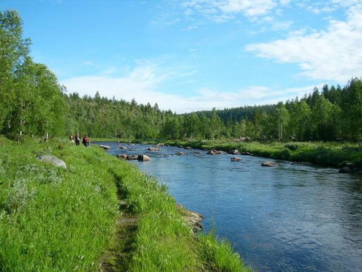 Hammastunturi Wilderness Area, Finlande
