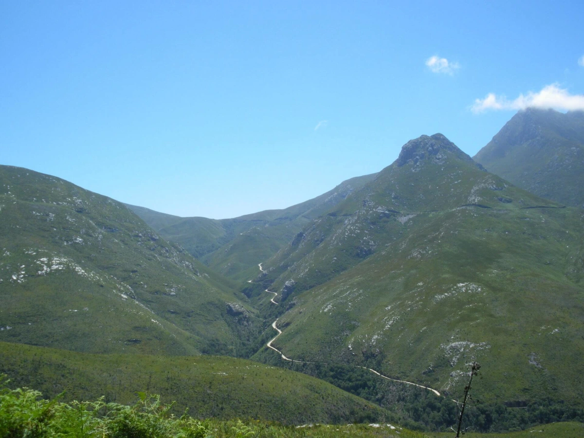 Monts Outeniqua, Afrique du Sud