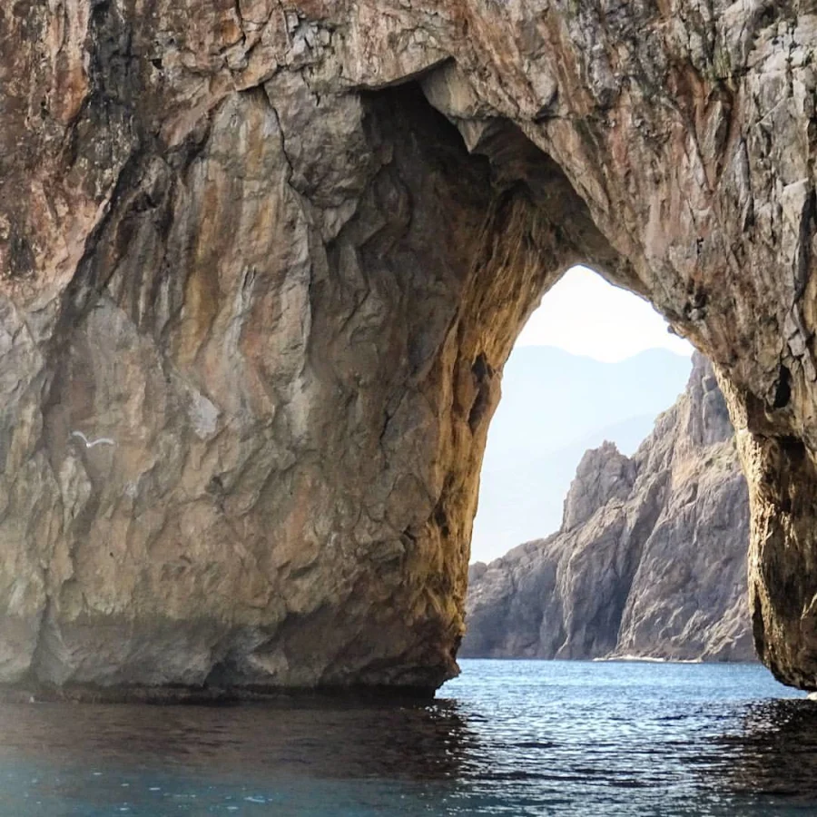 Cap Carbon, Algérie