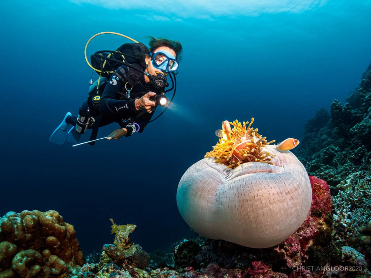 Parc national marin de Wakatobi, Indonésie