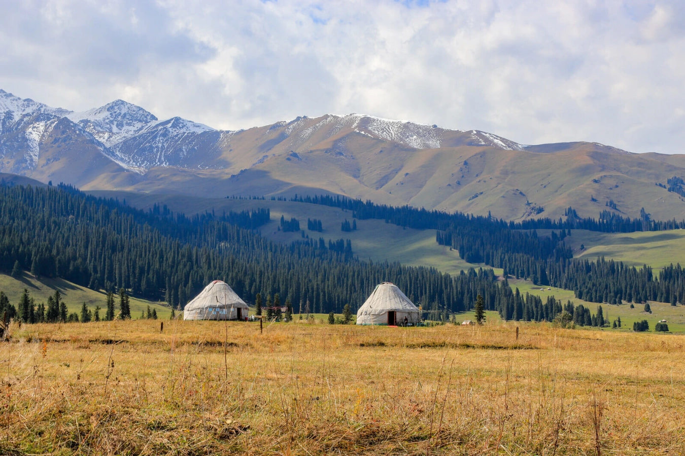 Nalati Grassland, Chine