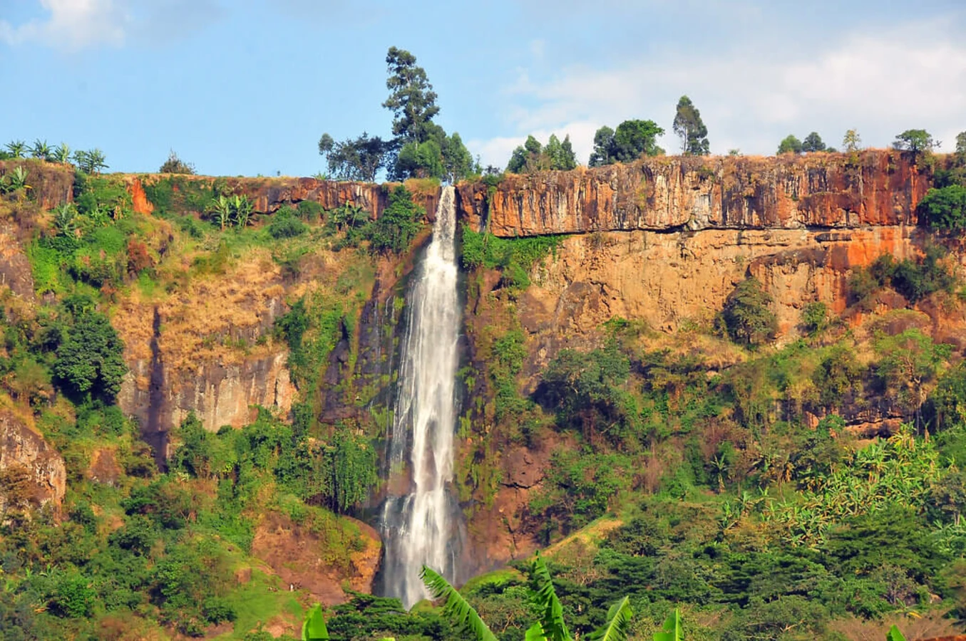 Parc national du Mont Elgon, Ouganda
