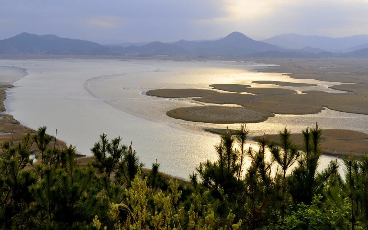 Baie de Suncheon, Corée du Sud