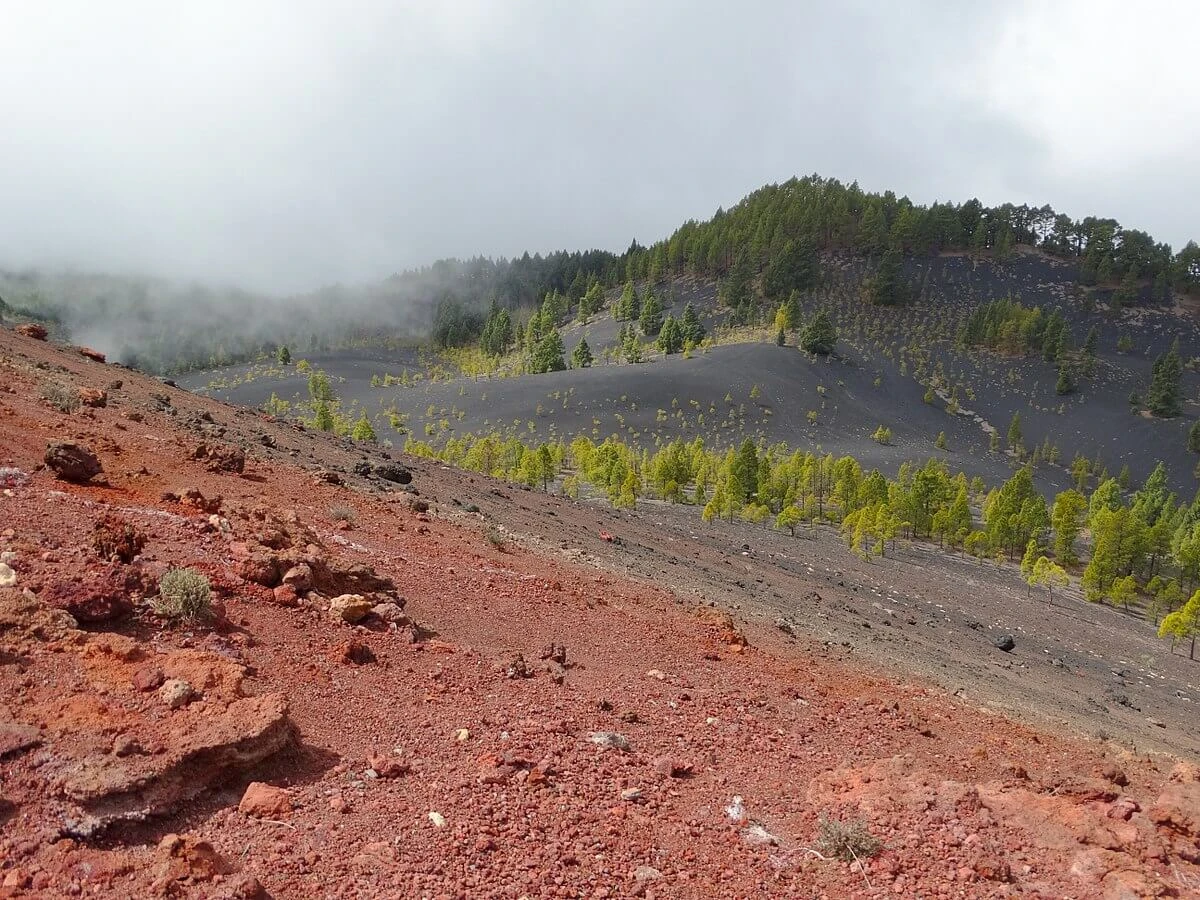 Parc naturel de Cumbre Vieja, Espagne, Canaries