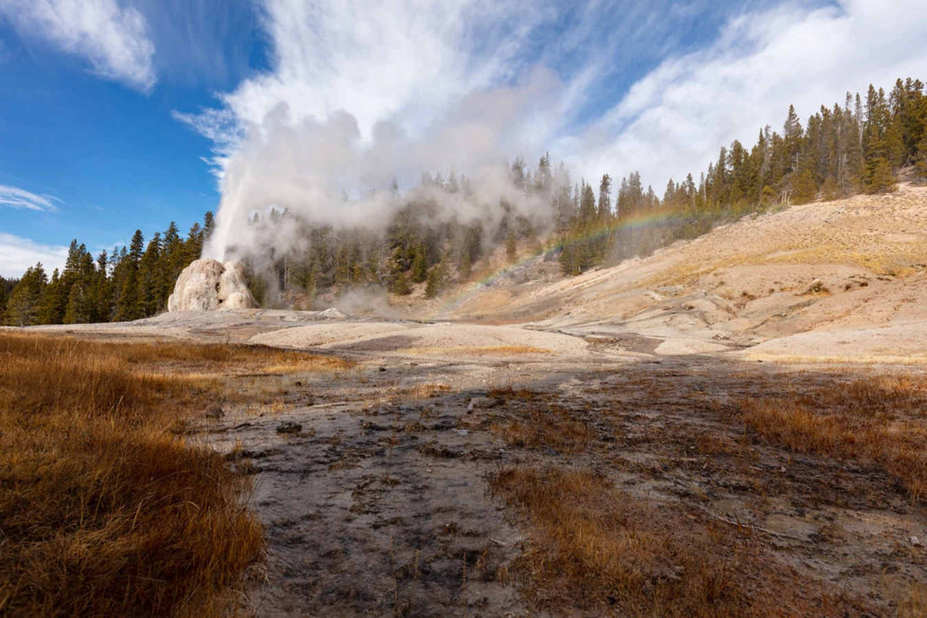 Lone Star Geyser, États-Unis