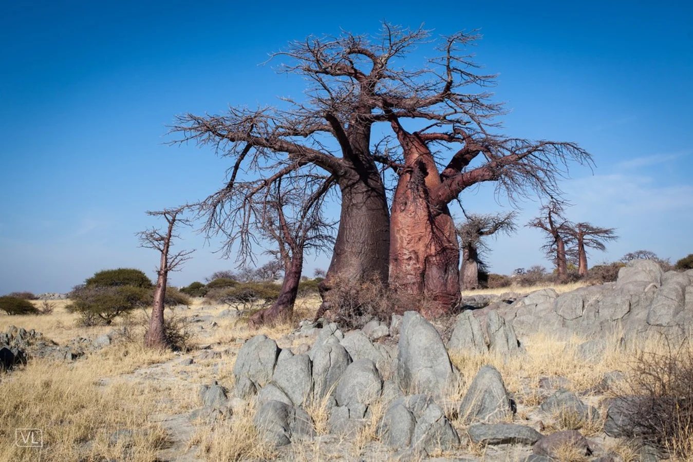 Kubu Island, Botswana