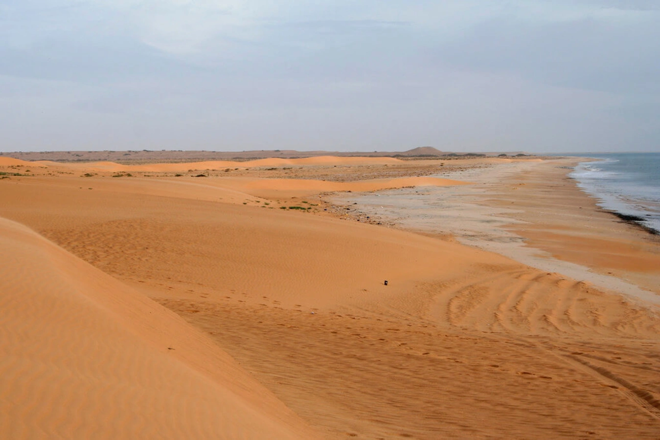 Île d'Arguin, Mauritanie