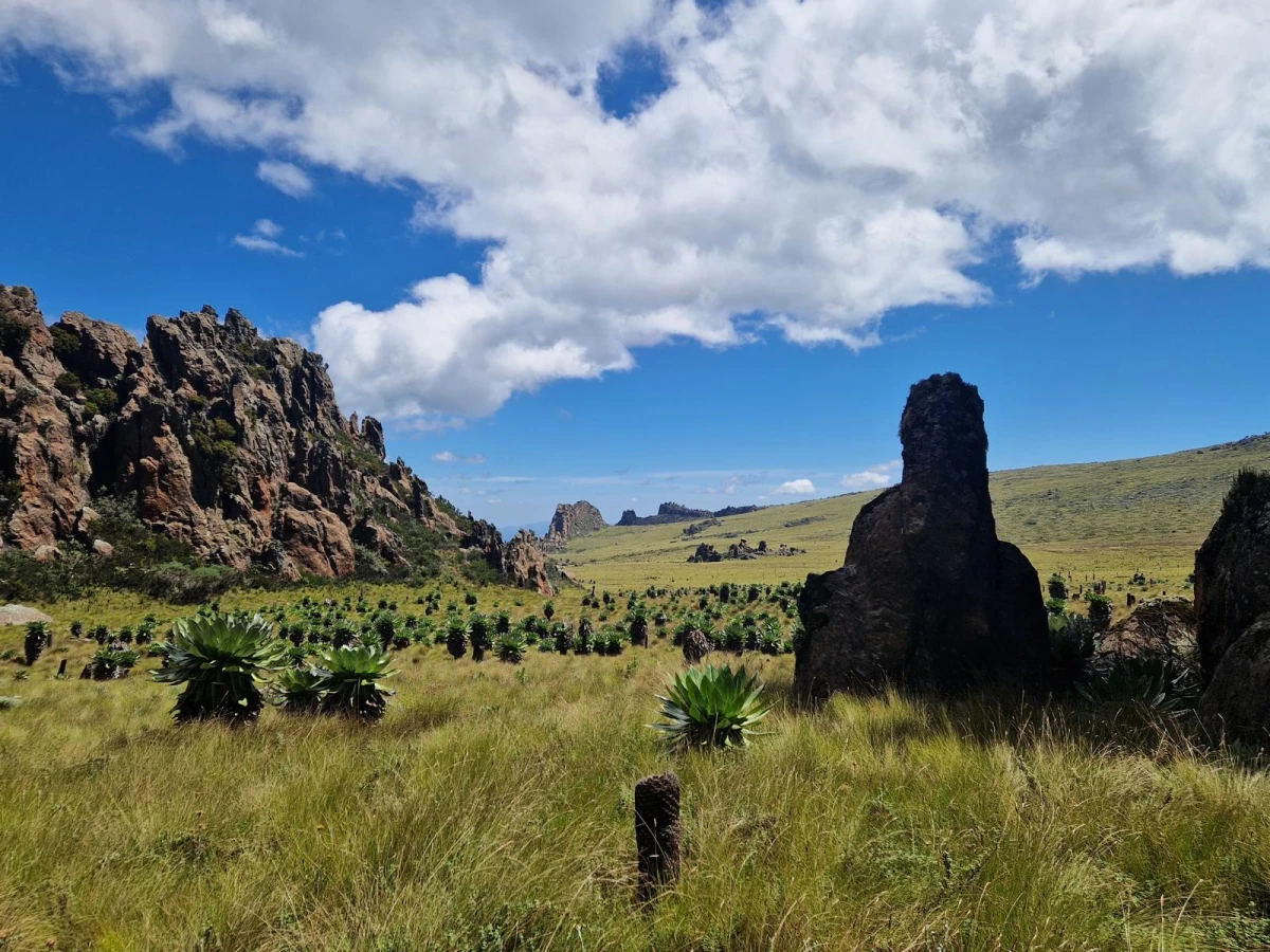 Mont Lesatima, Kenya