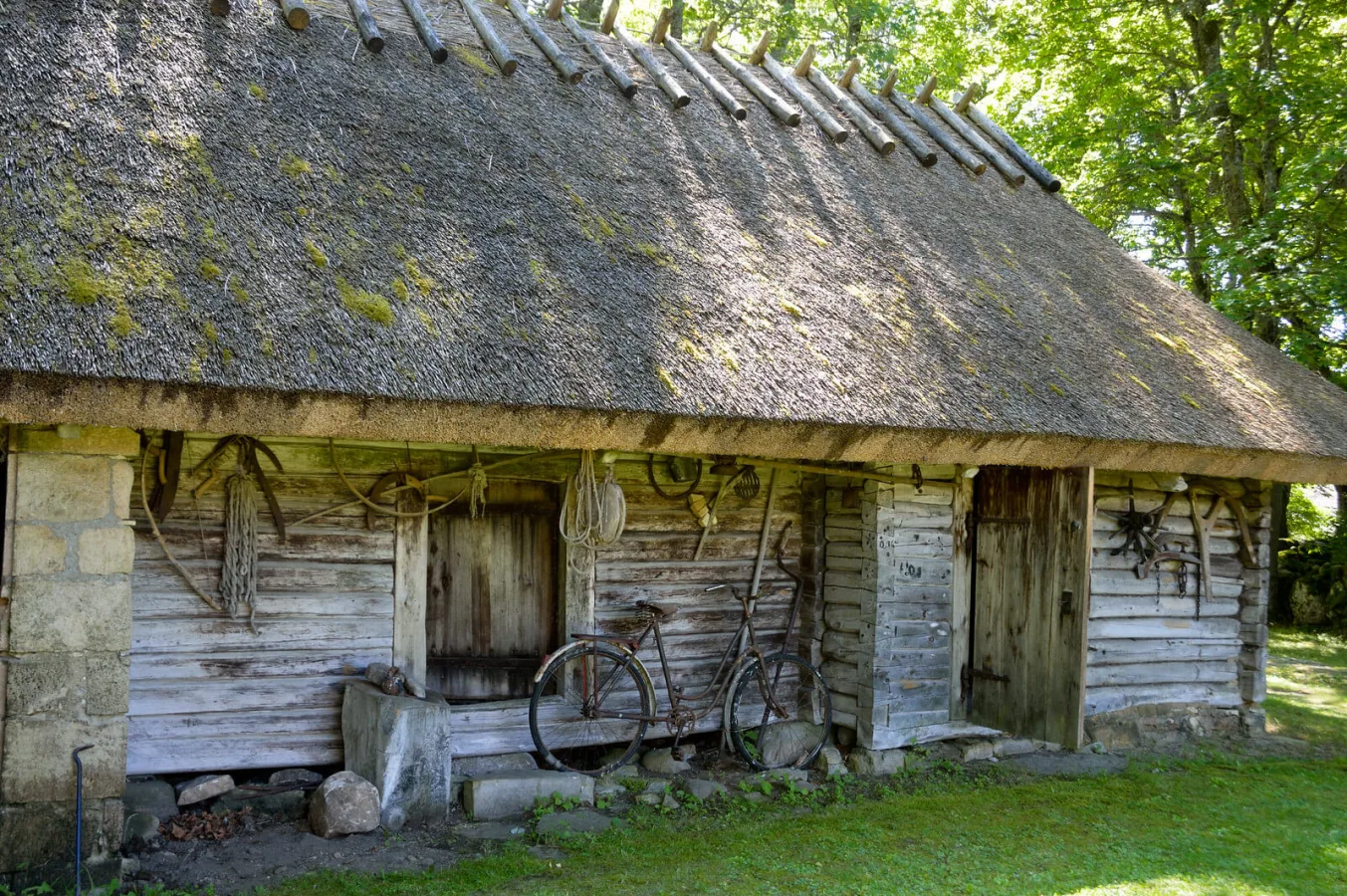 Koguva, Estonie