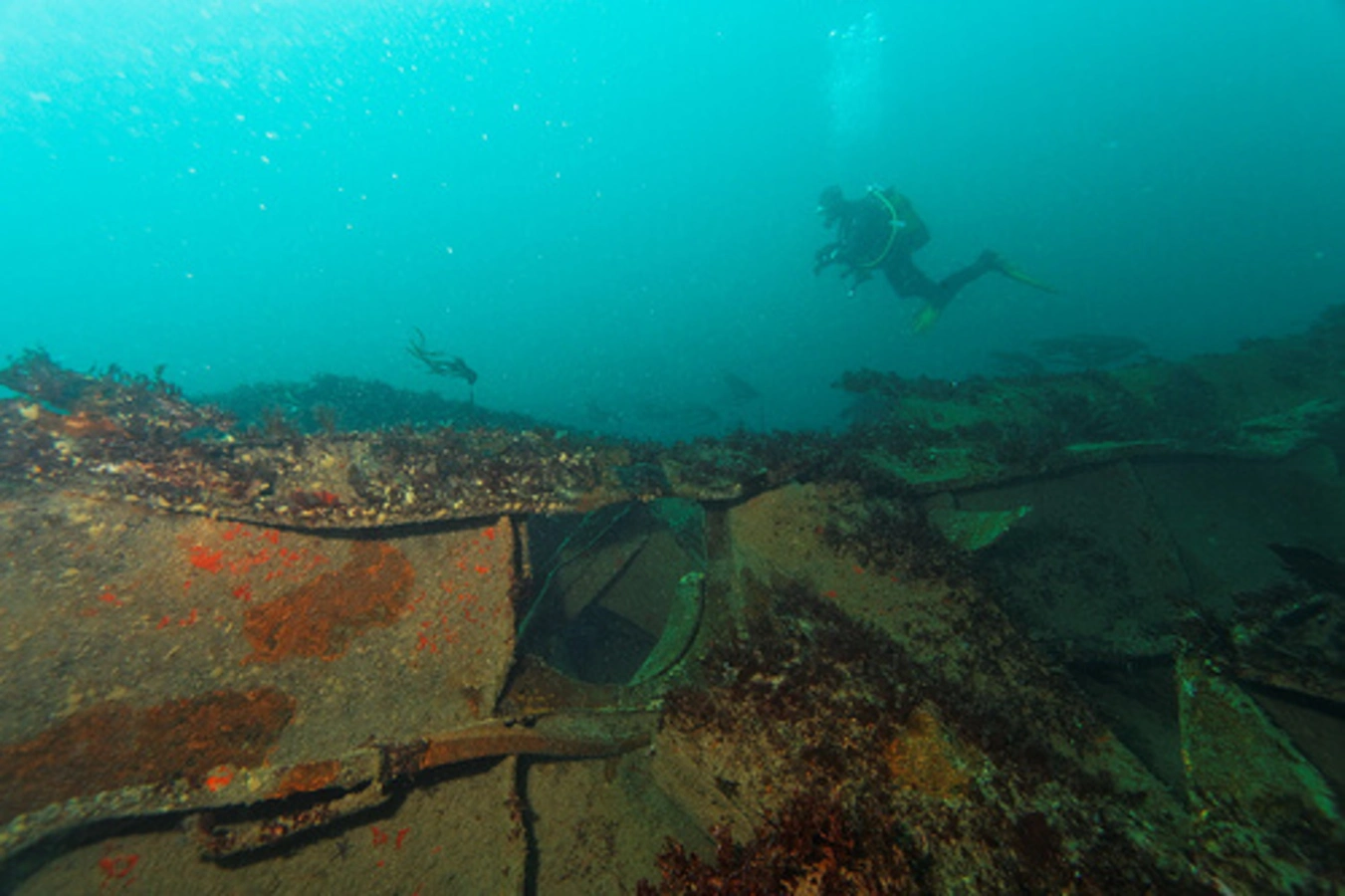 Épave de l'Amoco Cadiz, France