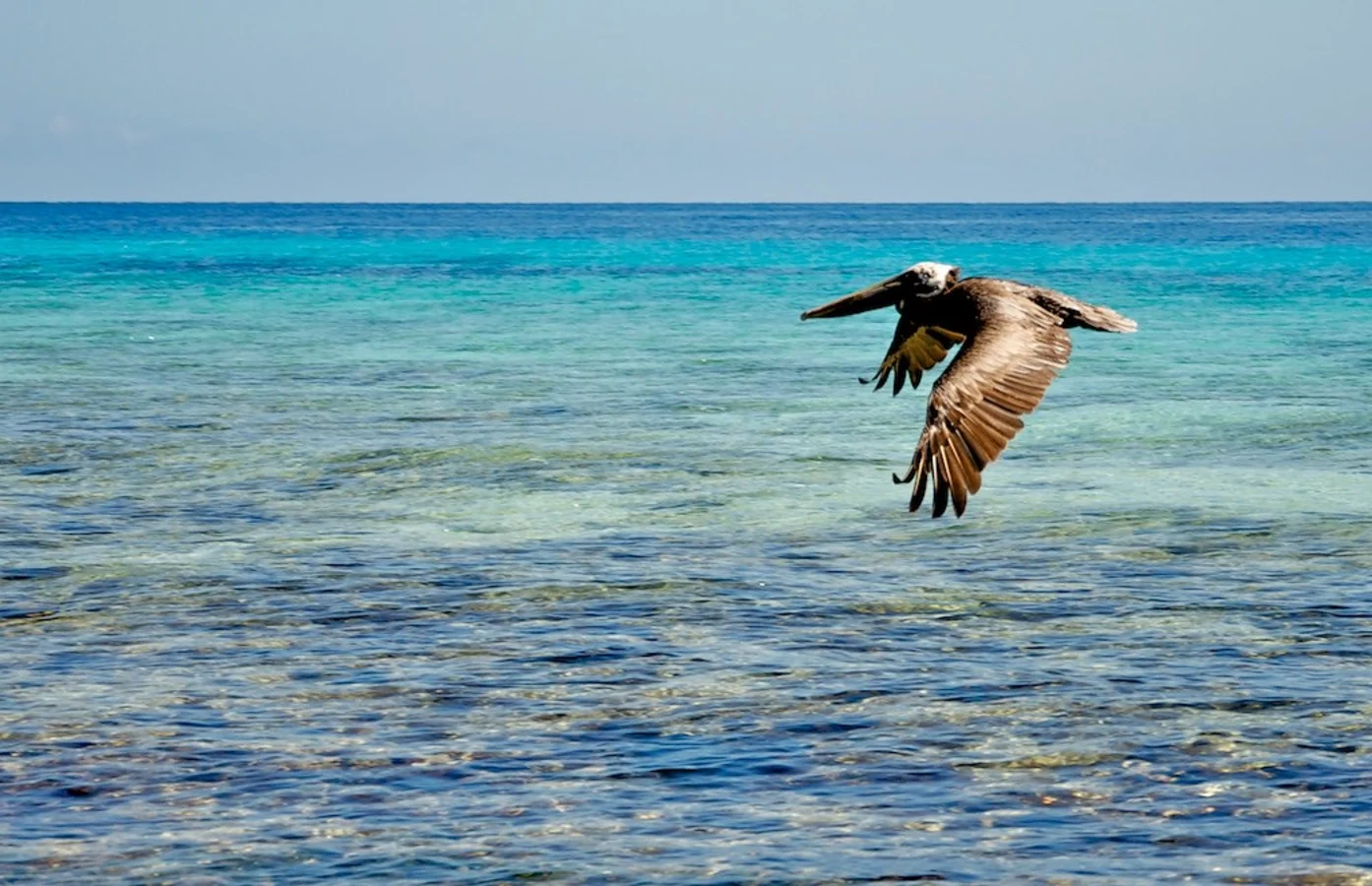 Laughing Bird Caye, Belize