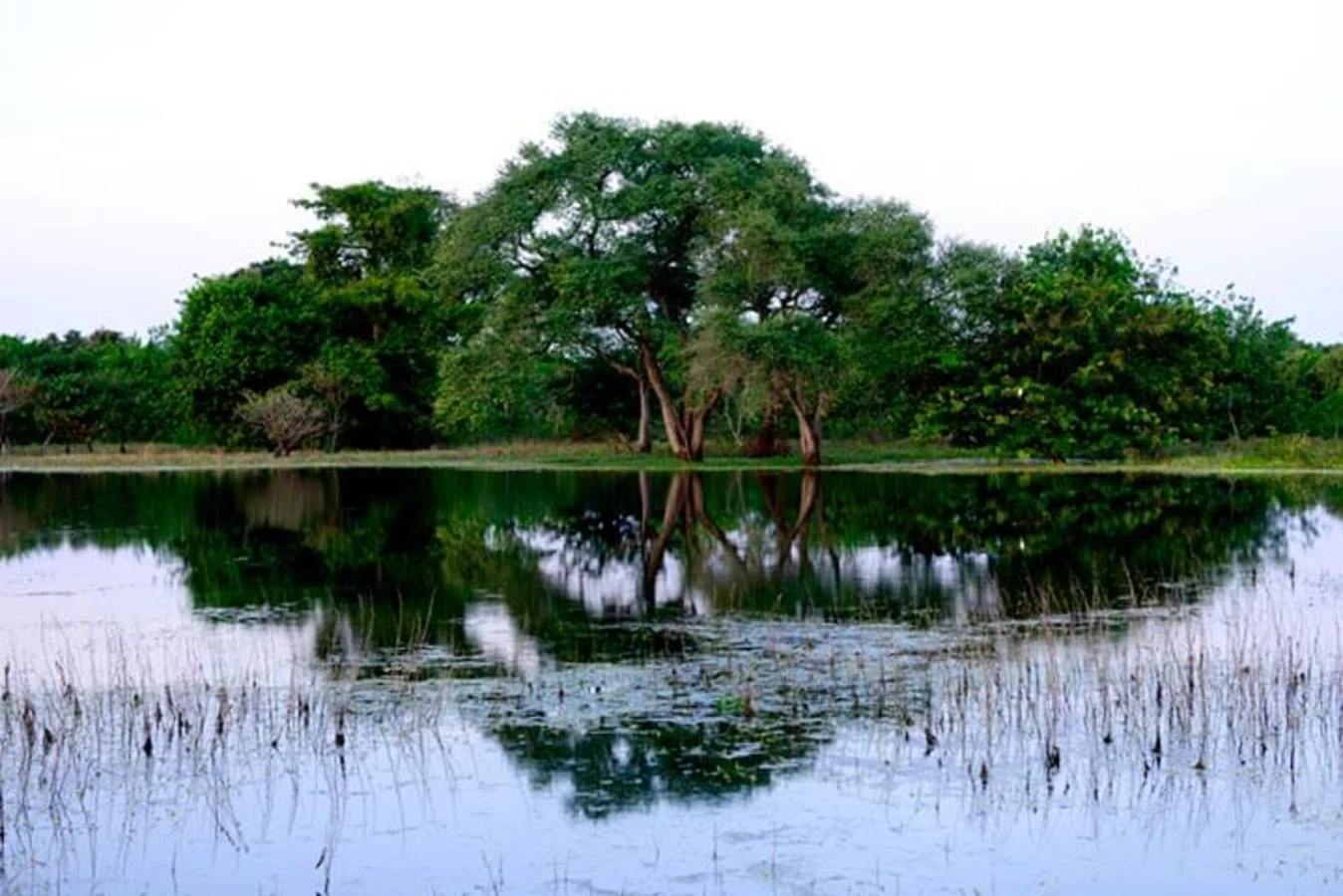 Orango, Guinée-Bissau