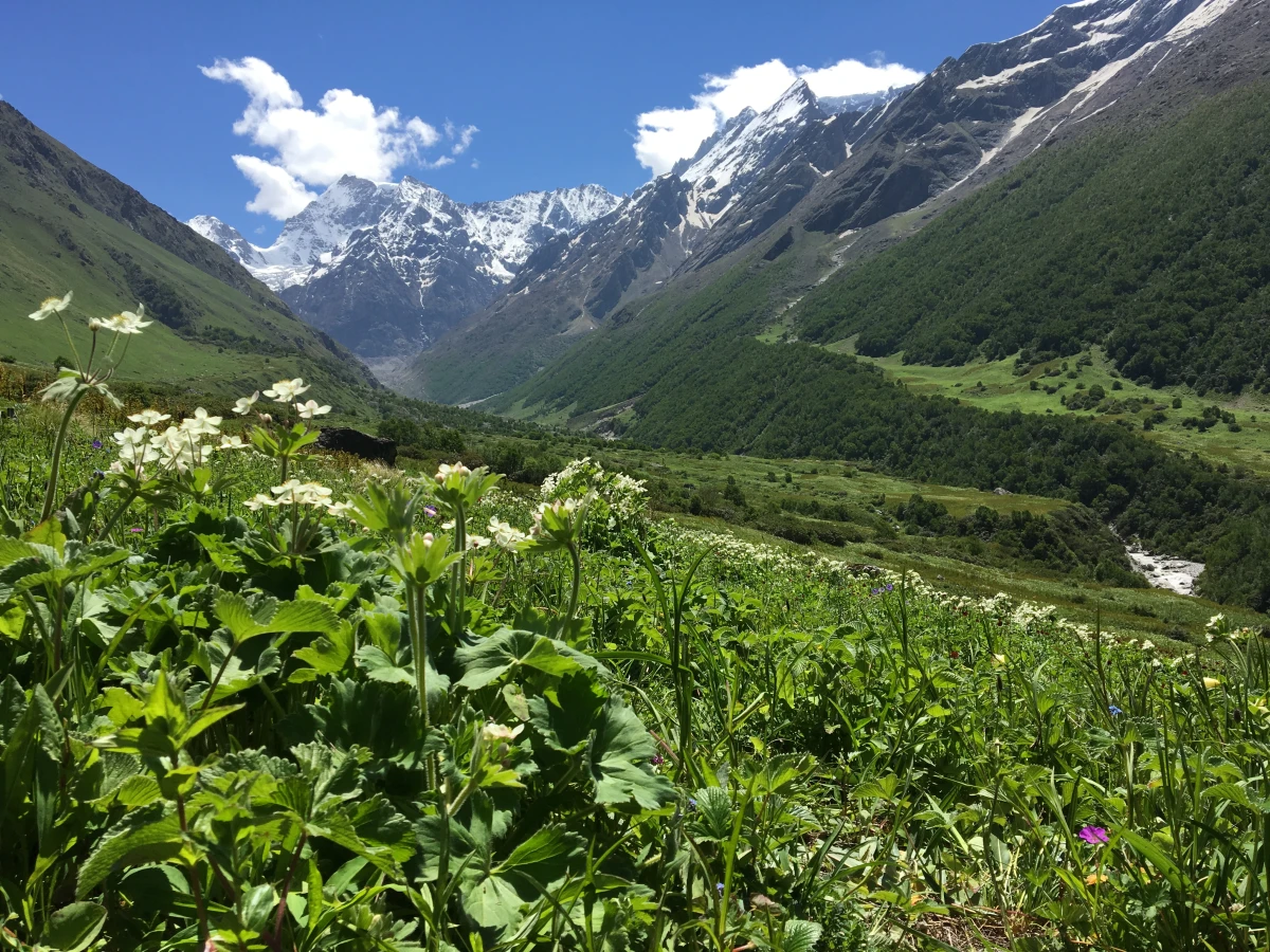 Parc national de la Vallée des fleurs, Inde