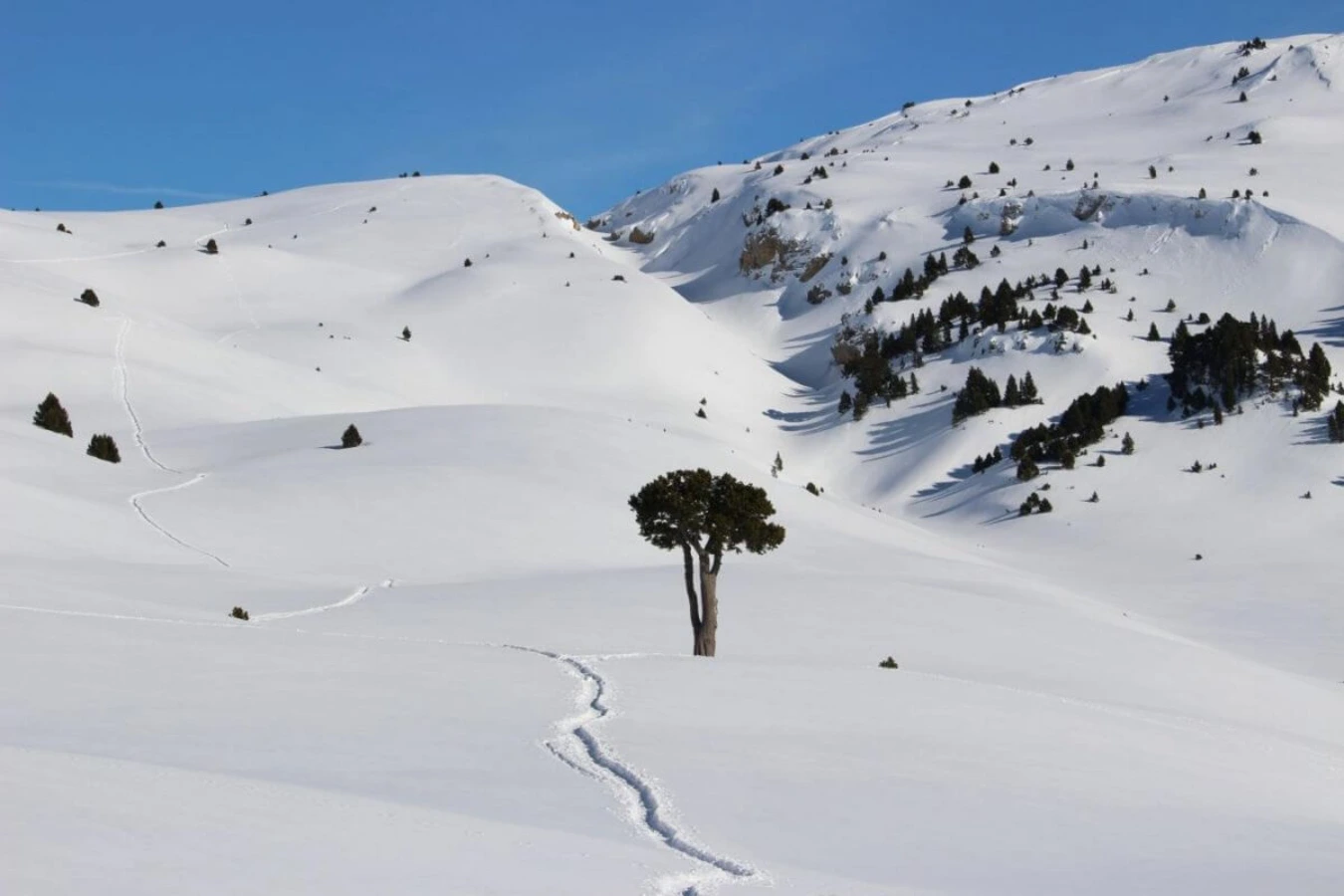 Plaine de la Queyrie, France