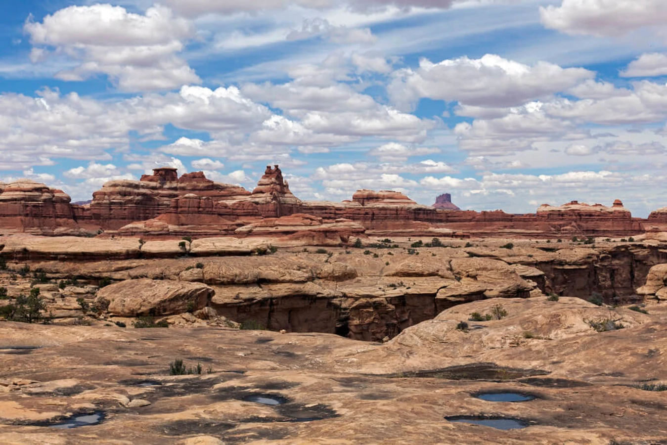 The Maze, États-Unis