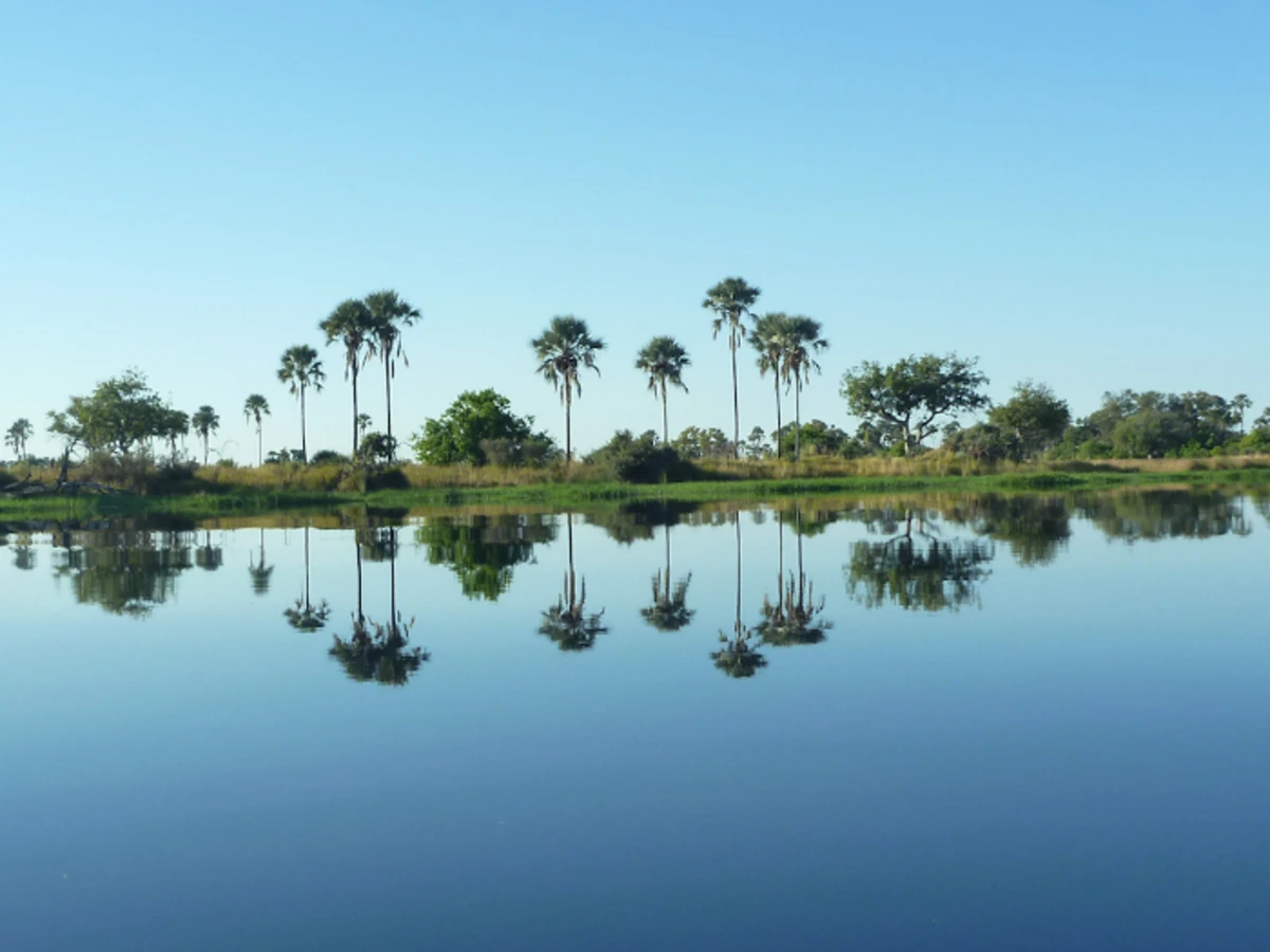 Chief's Island, Botswana