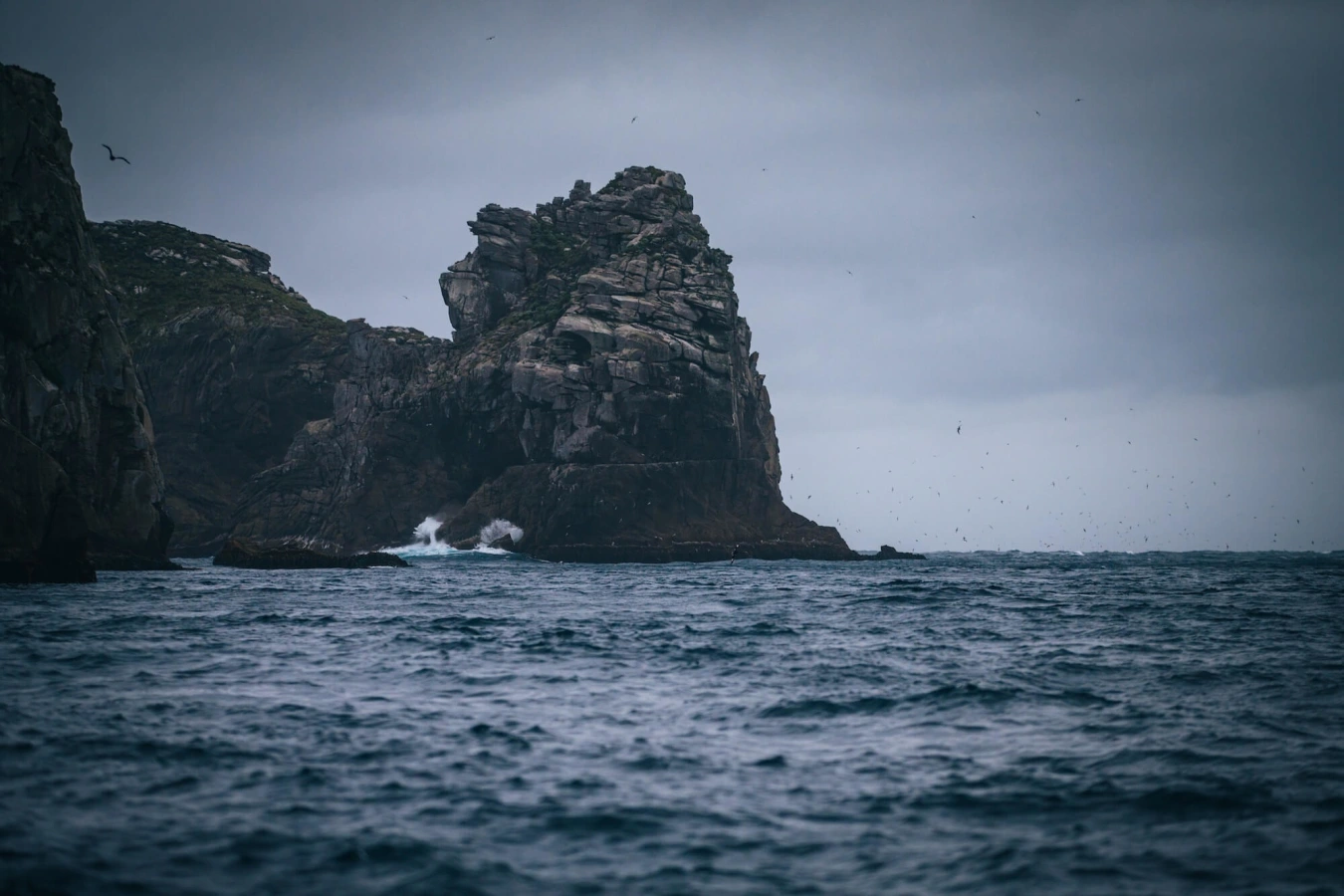 Îles Snares, Nouvelle-Zélande