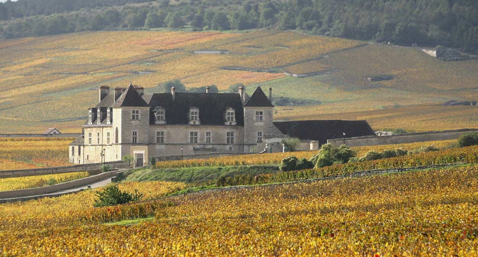 Vougeot, France