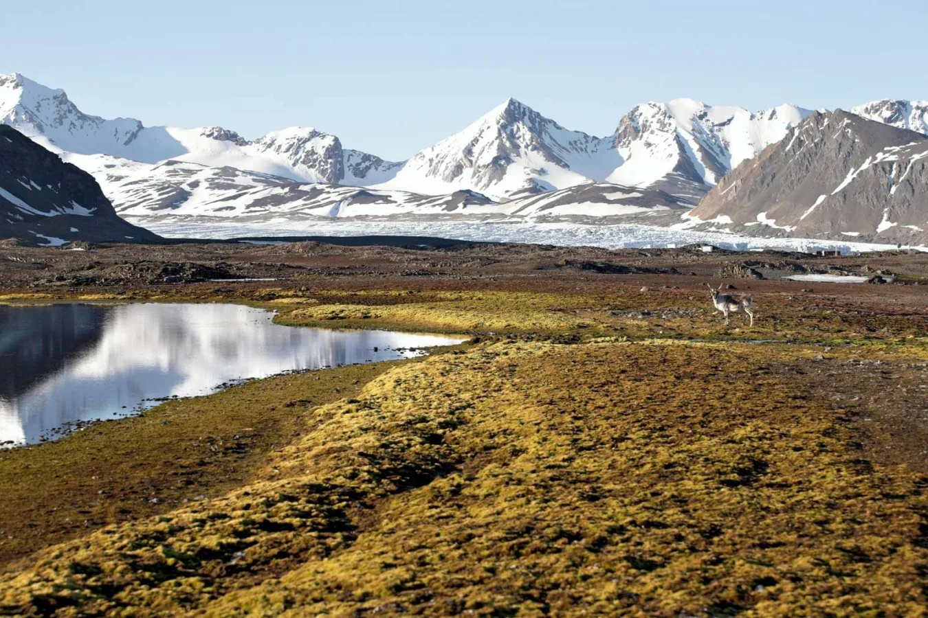 Parc national de Forlandet, Svalbard et Jan Mayen