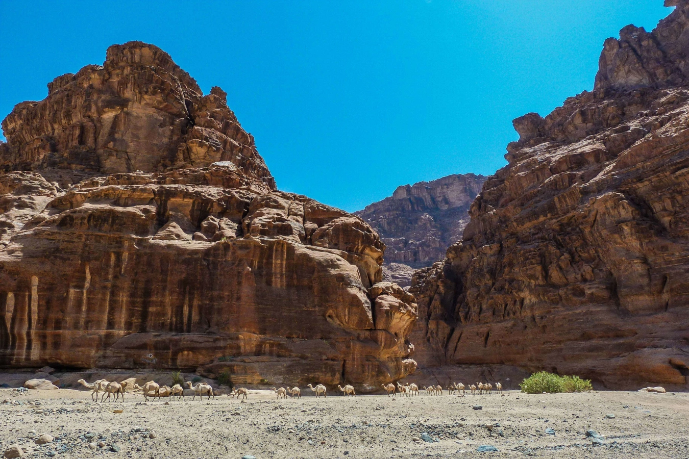 Wadi Qaraqir, Arabie saoudite