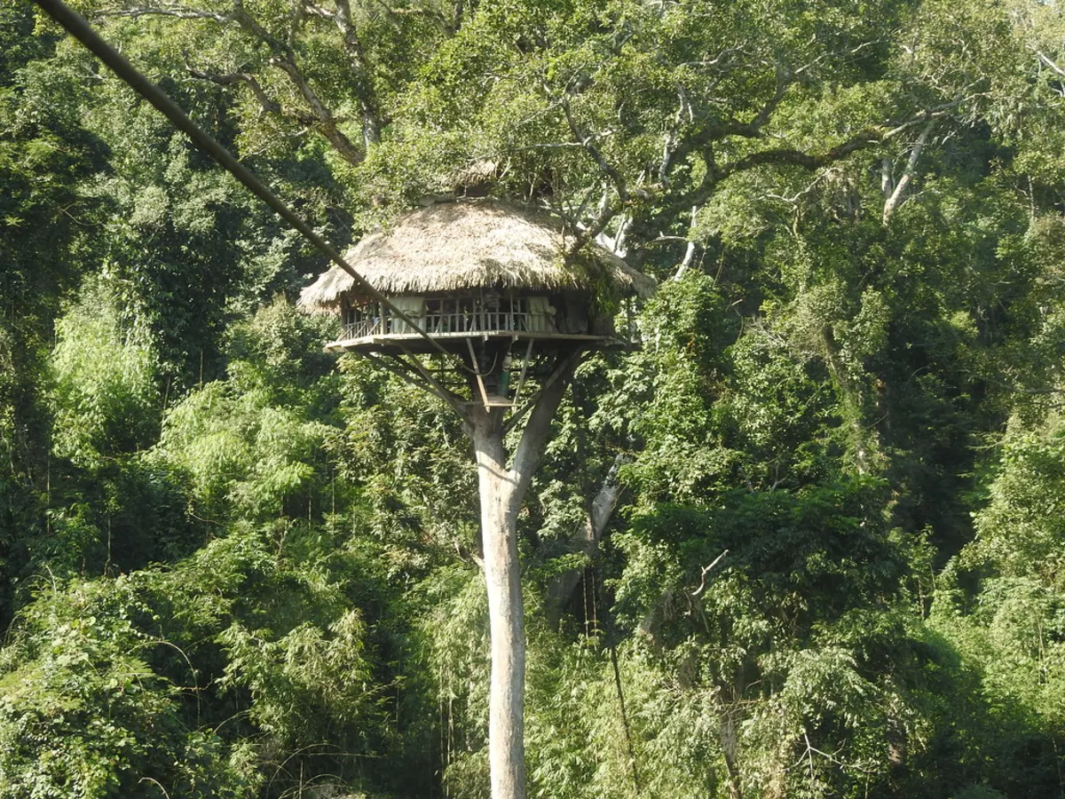 The Gibbon Experience, Laos