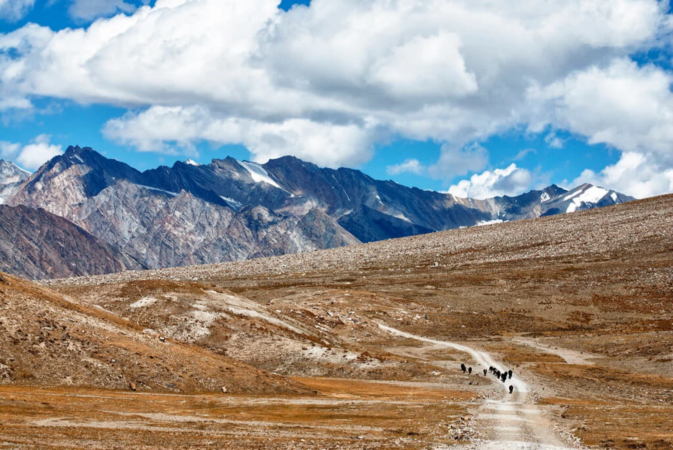 Pensi La, Inde