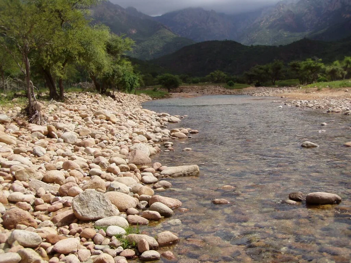 Parc national du Canyon d'Ayhaft, Yémen, Socotra