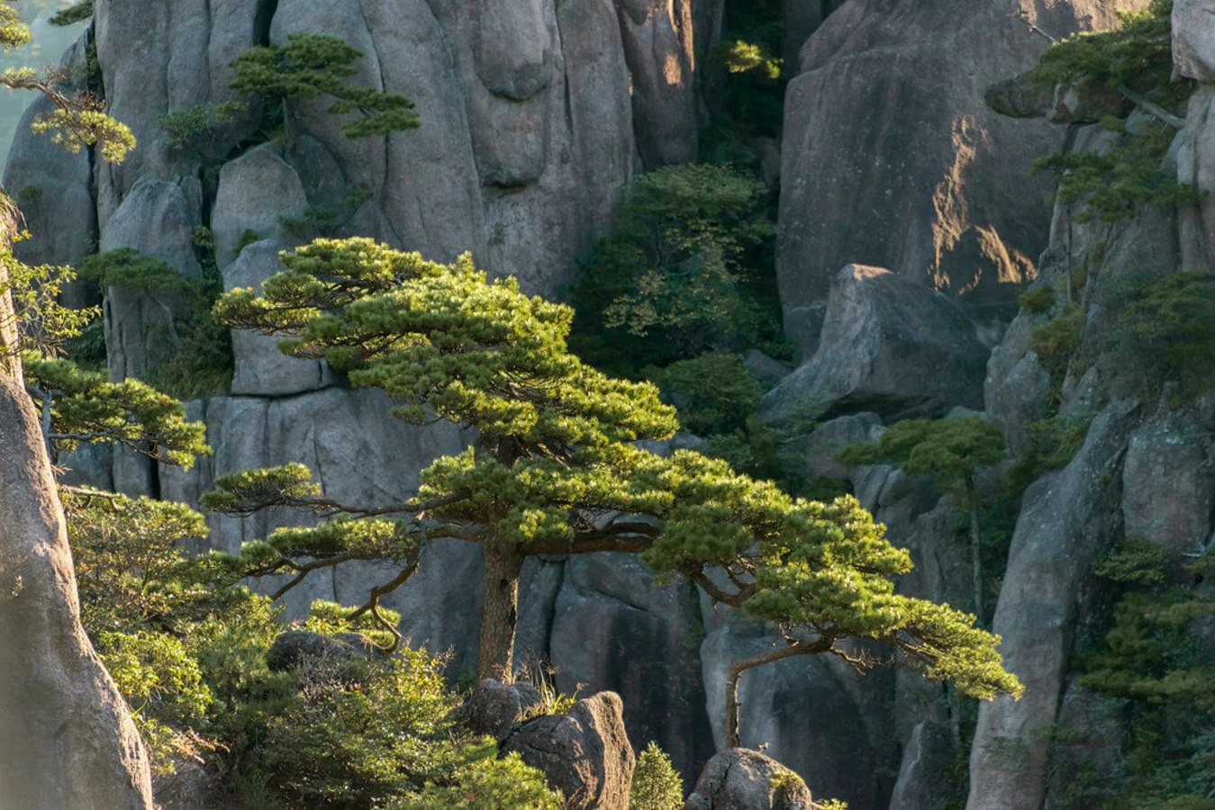 Monts Huang, Chine