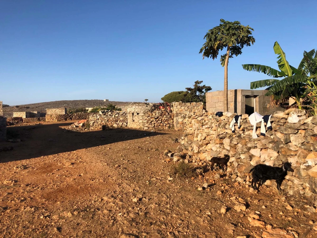 Diksam Campsite, Yémen, Socotra