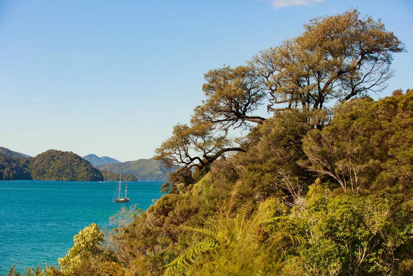 Queen Charlotte Sound, Nouvelle-Zélande