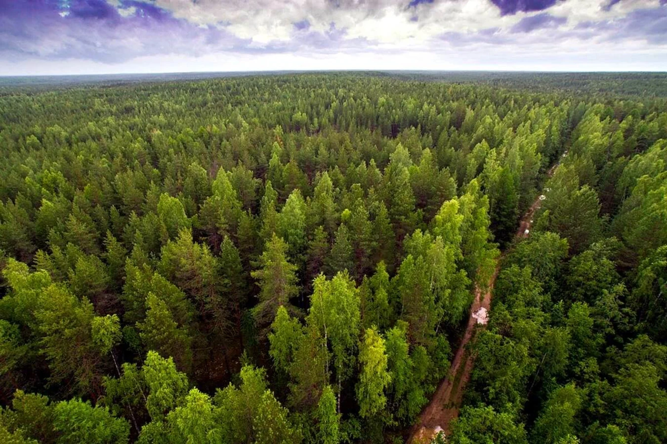 Visiter Forêts vierges de Komi - Préparez son voyage en Russie, image size:1350x900