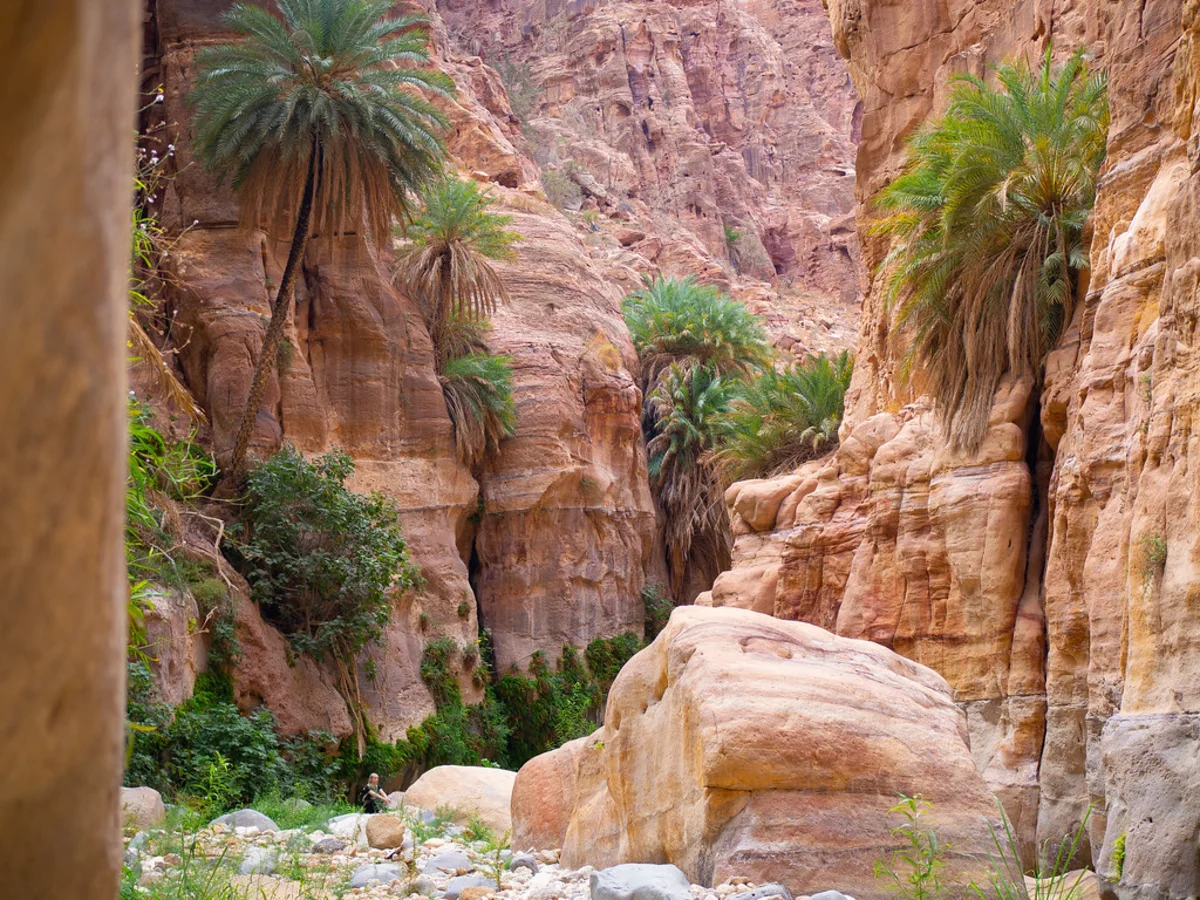 Wadi Ghuweir, Jordanie