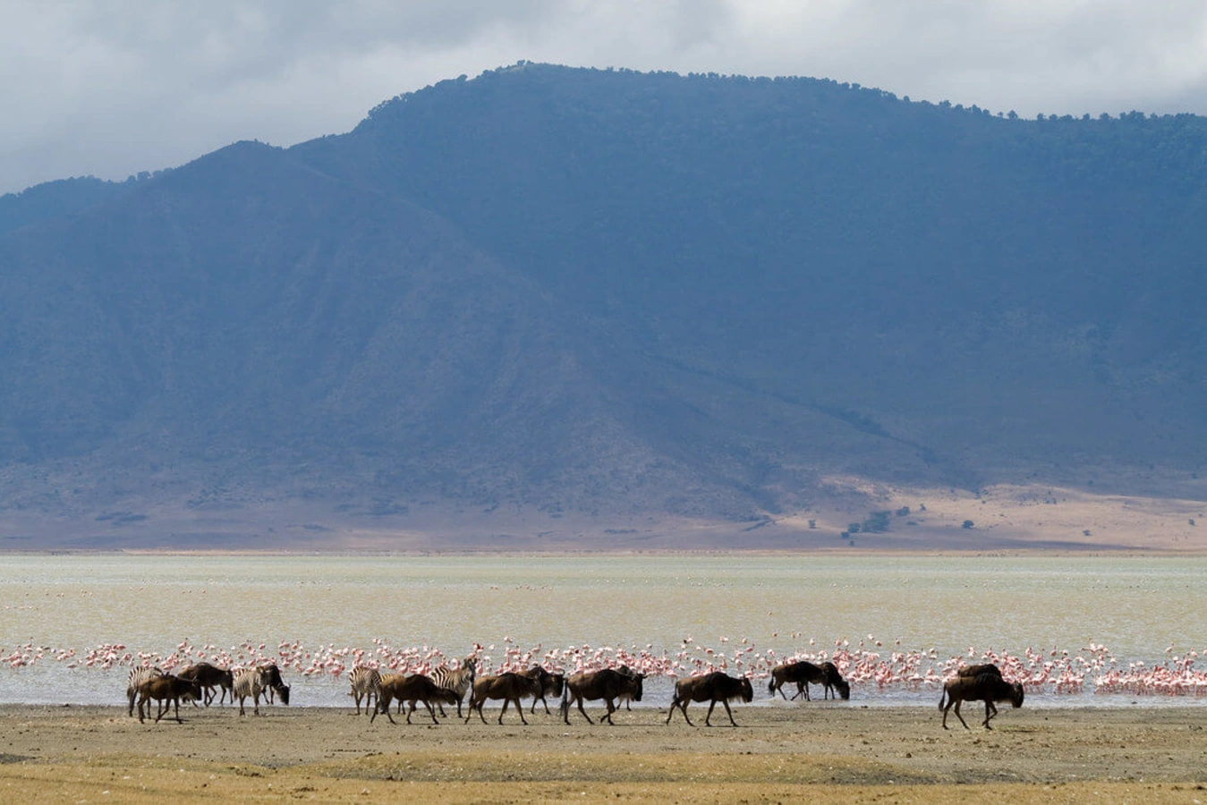 Lac Magadi, Kenya