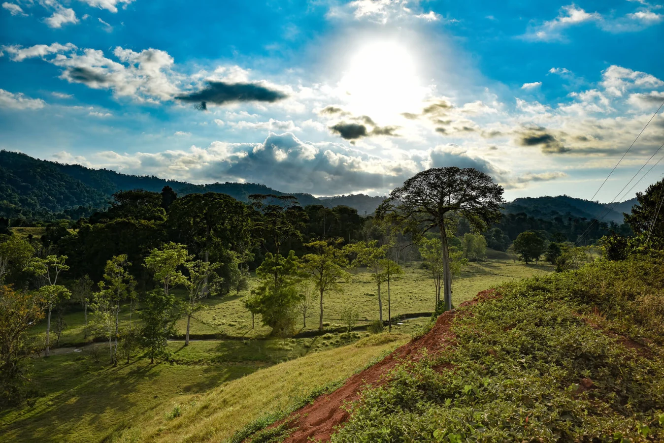 Parc national Corcovado, Costa Rica