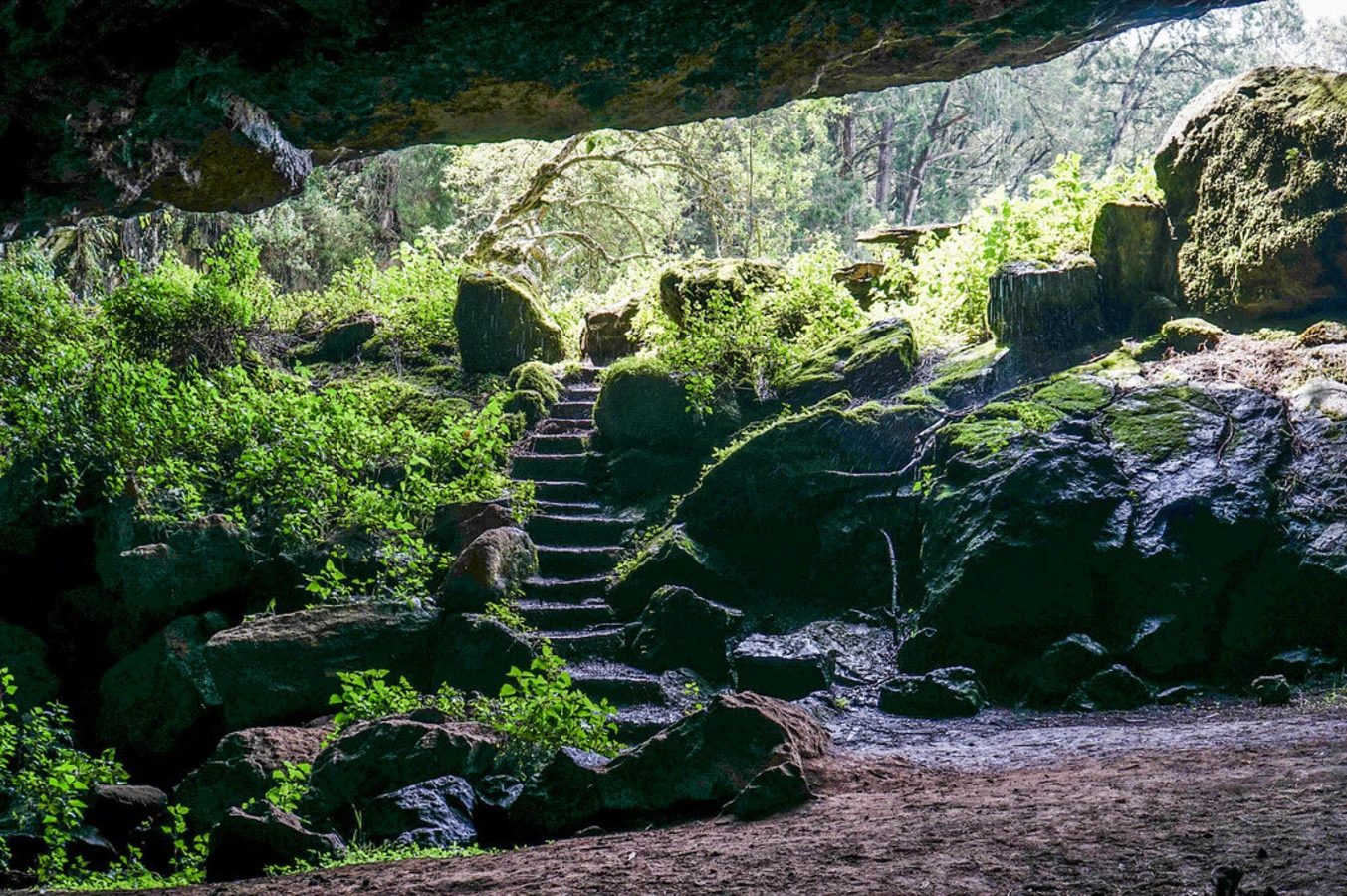 Grotte de Kitum, Kenya