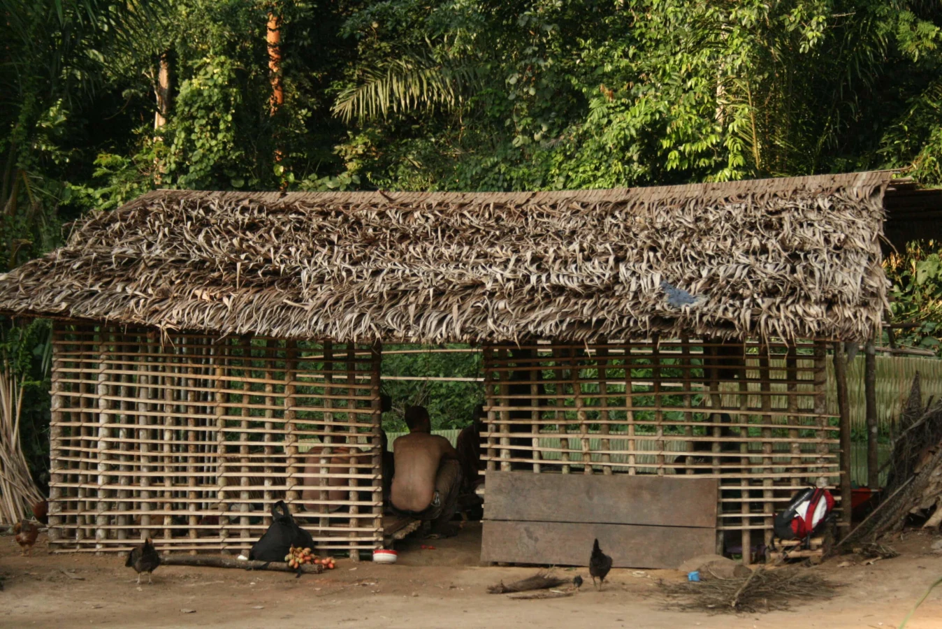 Réserve de faune du Dja, Cameroun