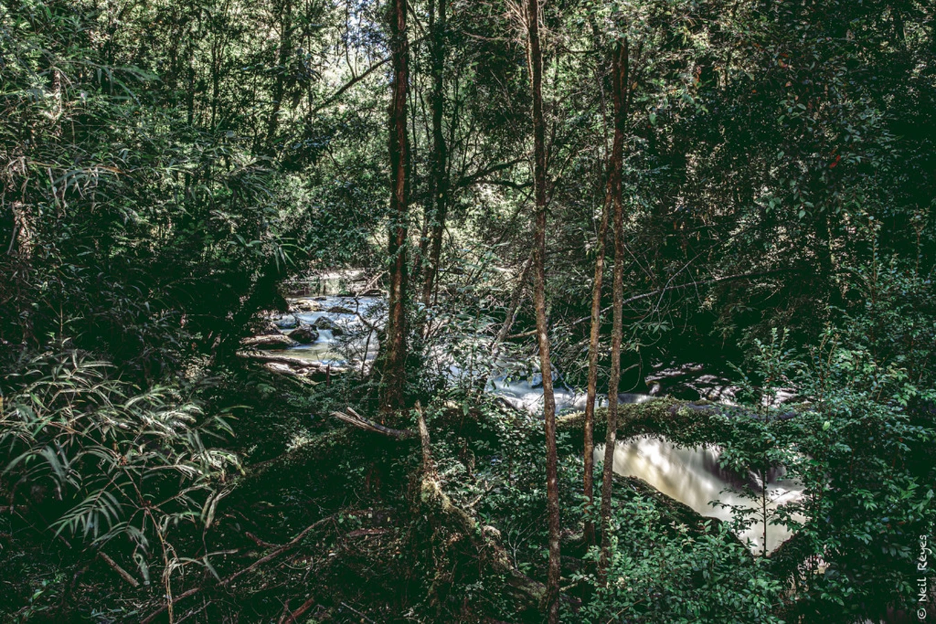Parc Tantauco, Chili