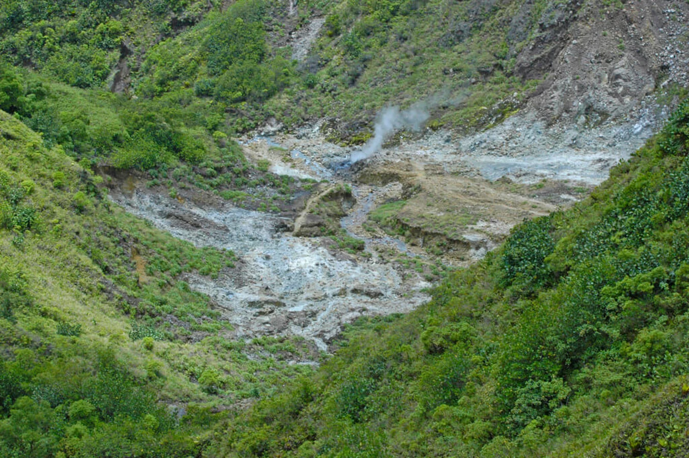 Vallée de la Désolation (Dominique), Dominique