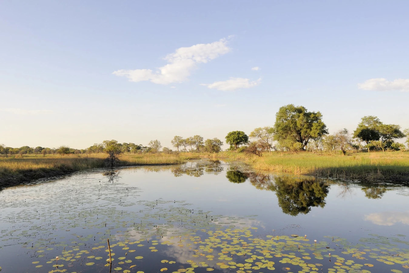 Parc national de Nkasa Rupara, Namibie