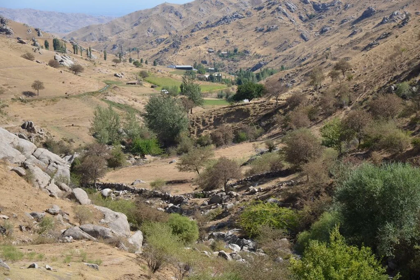 Tersak, Ouzbékistan