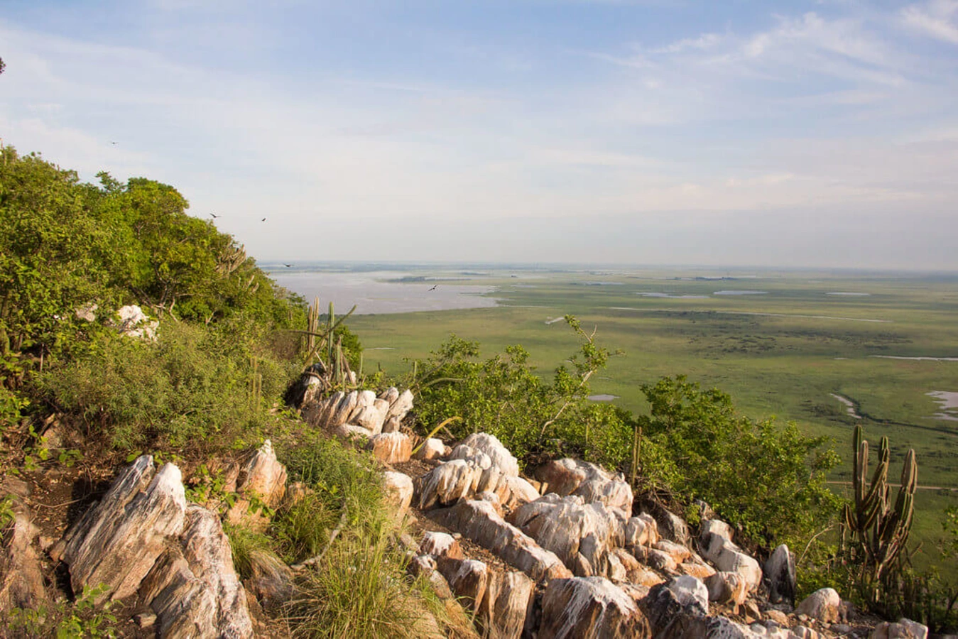 Parc national du Pantanal Matogrossense, Brésil